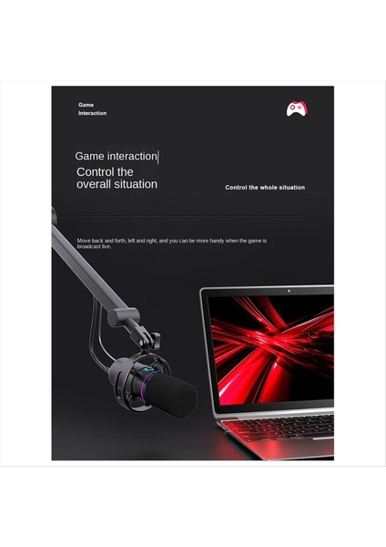 Dinamik Mikrofon Xlr Connect 48V Ses Kartı Kayıt Durgıng ve Sanıng Ekipmanları USB Bilgisayar Oyunu Canlı Mikrofon (Yurt Dışından) indirimleri