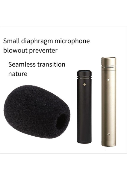 2pcs Köpük Mikrofon Ön Cam Sünger Rode M5 Nt5 Nt6 NT55 Mini Köpük Kapak (Yurt Dışından) modelleri