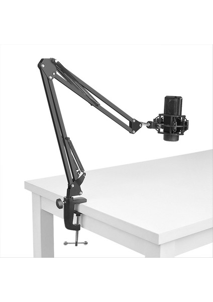 50CM Yükseklik Artışı Model Mikrofon Bom Kolu Masa Podcasting Video Oyunları Radyo ve Stüdyo Audio C Için Stand Standı C (Yurt Dışından) fırsatları