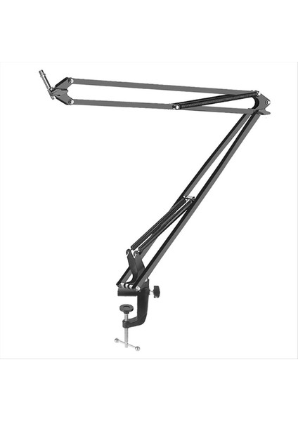 Podcasting Video Oyunları Radyo ve Stüdyo Audio Için Masa Üstü Standı Olan 50CM Mikrofon Bom Kolu F (Yurt Dışından)