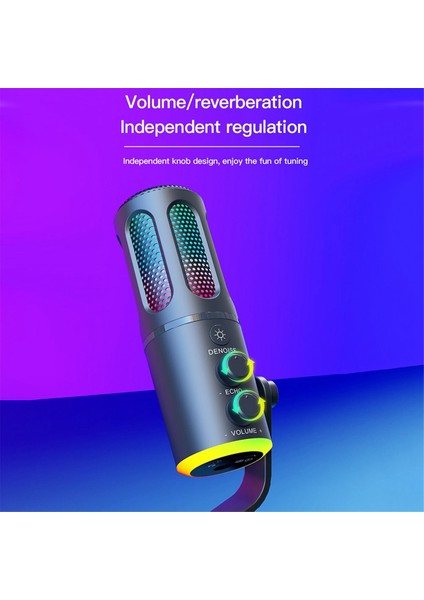 Pc Dizüstü Bilgisayar Akışı Podcast Karaok (Yurt Dışından)