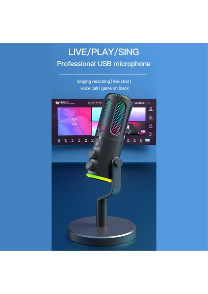 Pc Dizüstü Bilgisayar Akışı Podcast Karaok (Yurt Dışından) fırsatları