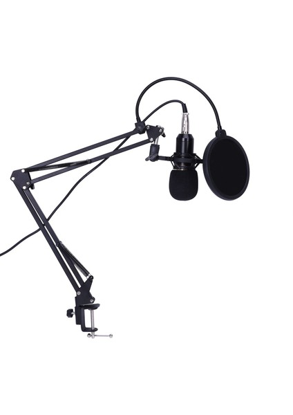 Kondenser Mikrofon Mikrofon Kiti Live Studio Sound Record Mount Boom Stand Black Gümüş (Yurt Dışından)
