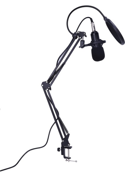 Kondenser Mikrofon Mikrofon Kiti Live Studio Sound Record Mount Boom Stand Black Gümüş (Yurt Dışından) fiyatları