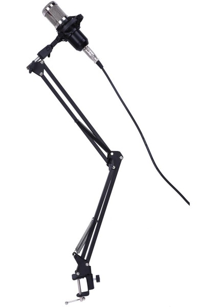 Kondenser Mikrofon Mikrofon Kiti Live Studio Sound Record Mount Boom Stand Black Gümüş (Yurt Dışından) modelleri