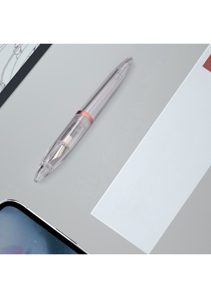 2set0 5mm Nib Çeşme Kalemi Bakır Kapasiteli Şeffaf Pens Ofis Okul Malzemeleri Gül Altın ve Gri (Yurt Dışından) fiyatları