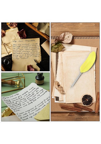 21CM/8INCH Tüy Tükenme Kalemi 2pcs Mürekkep Vintage Quill Kalem Rafine Kaplama Kaplama Dip Kalemi Kaligrafi Yazma (Yurt Dışından) fırsatları