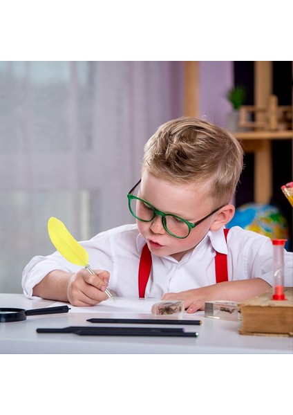 21CM/8INCH Tüy Tükenme Kalemi 2pcs Mürekkep Vintage Quill Kalem Rafine Kaplama Kaplama Dip Kalemi Kaligrafi Yazma (Yurt Dışından) indirimleri