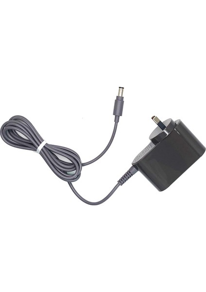 Dyson Kablosuz Vakum Güç Kaynağı Için Yedek Şarj Cihazı 24V 17V 0.348A Au Fiş (Yurt Dışından) modelleri
