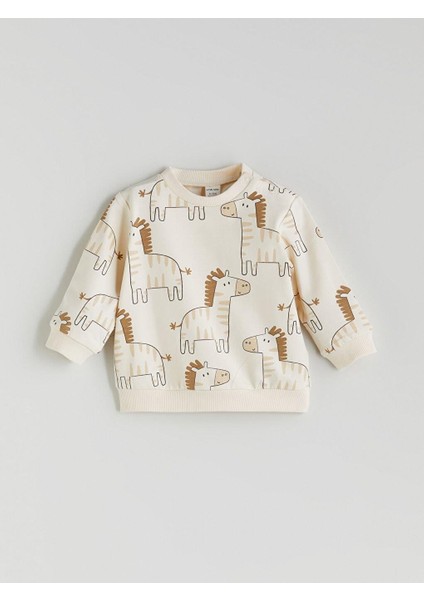 Tkm,asıvıt (W5) fiyatları