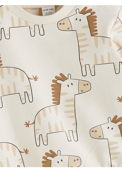 Tkm,asıvıt (W5) modelleri