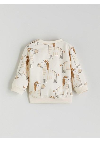 Tkm,asıvıt (W5) fırsatları