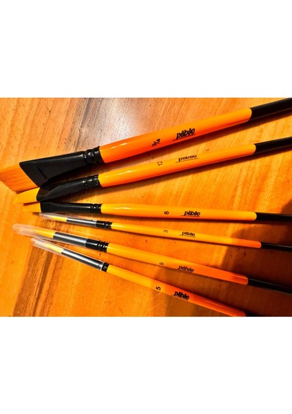 6 Lı Fırca Seti 1 Düzkesit 3/4-12-8--No: 3,5,8 Özel Boya Fırcası fırsatları