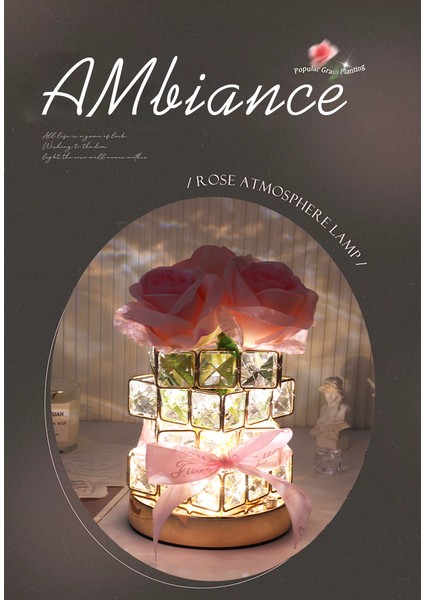 520 Hediye: Gül Küpü Ortam Gece Lambası - Kadın En Yakın Arkadaşlar, Doğum Günleri, Anneler Günü ve Lüks Süs Için Mükemmel (Yurt Dışından) fiyatları