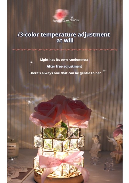 520 Hediye: Gül Küpü Ortam Gece Lambası - Kadın En Yakın Arkadaşlar, Doğum Günleri, Anneler Günü ve Lüks Süs Için Mükemmel (Yurt Dışından) fırsatları