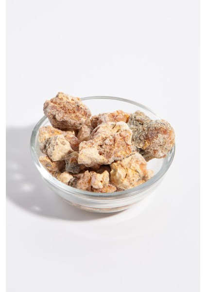 Çam Sakızı 100 Gr.