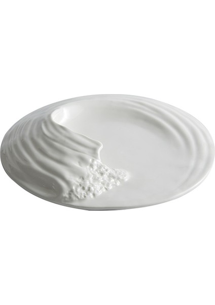 Hailang Stereoskopik Seramik Sofra Tahminleri Özel Şekilli Batı Gıda Düz Plaka Yüksek Dereceli Soğuk Yemekler Otelde Set 10INCH (Yurt Dışından)