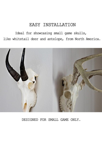 Avrupa Geyik Kafatası Dağı Askısı, Euro Duvar Dağı Kafatası Askı Deerhead ve Diğer Küçük Kafatasları Için Kapalı Dış Mekan Için (Yurt Dışından) indirimleri