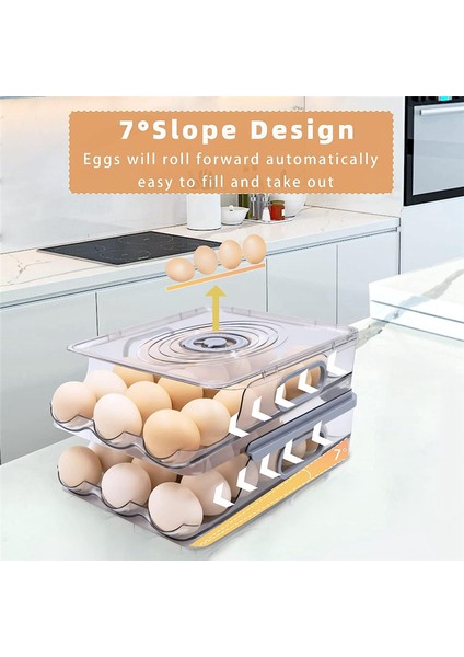 2 Katman Depolama Yumurta Konteyneri Buzdolabı Için, Kapak ve Zaman Ölçeği Olan Buzdolabı Için Yumurta Tutucuyu Otomatik Olarak Yuvarlamak (Yurt Dışından) fırsatları