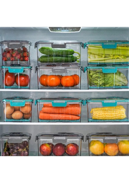 Vakum Gıda Depolama Konteyneri Şeffaf Buzdolabı Organizatör Drenaj Net Kapasiteli Mutfak Grisi Için Gıda Dağıtıcısı (Yurt Dışından) indirimleri