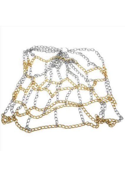 2x Sport Demir Zincir Basketbol Net Dış Mekan 12 Döngüler Standart Ağır Hizmet Basketbol Hedef Değiştirme Net Altın+Gümüş (Yurt Dışından) fiyatları