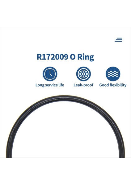 R172009 Pentair Için O-Ring Model 300/320 Havuz ve Spa Klorator Kapağı (6 Paket) (Yurt Dışından) fiyatları