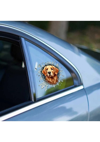 Ieg® Fulcar Golden Araç Stickerı