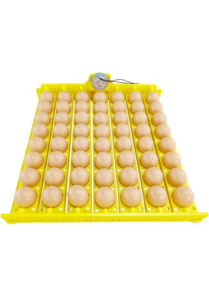 56’lı Kuluçka Makinesi Gelişim Viyol ve Motor 220 Volt