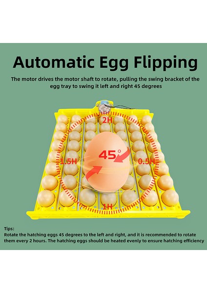 56’lı Kuluçka Makinesi Gelişim Viyol ve Motor 220 Volt fiyatları
