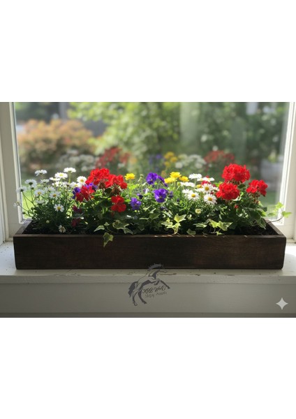 Ahşap Saksı Çiçek ve Sukulent Kaktüs Saksısı Ince Uzun Saksı fırsatları