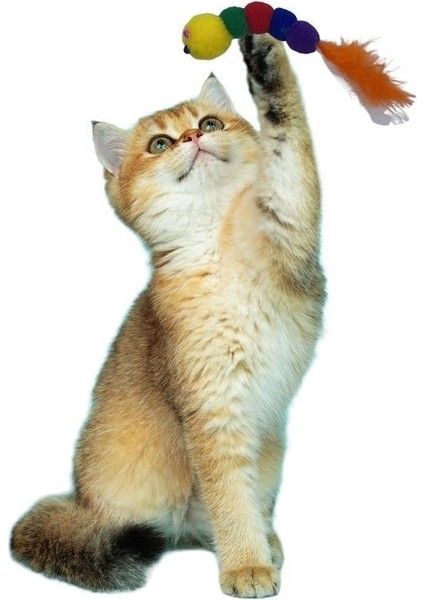 Buffer® Yumuşacık Ipli Tırtıl Şeklinde Rengarenk Sevimli Evcil Hayvan Oyuncağı indirimleri