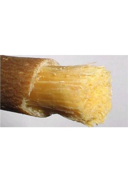 Taze Misvak - Vakumlu Taze Misvak (Yaş) 40 Adet fırsatları