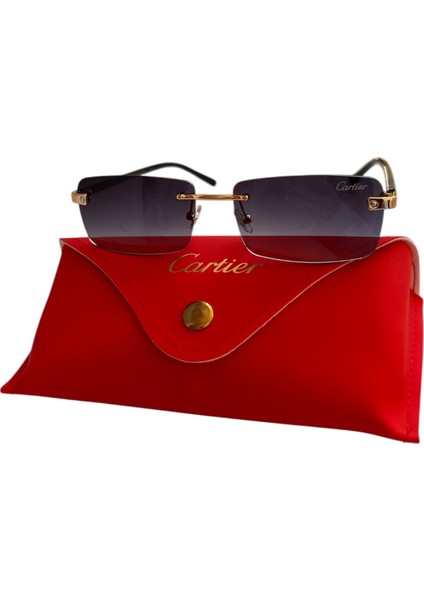 Erkek Güneş Gözlüğü Ekartman 56 Yeni Model