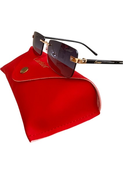 Erkek Güneş Gözlüğü Ekartman 56 Yeni Model modelleri