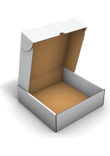 Ondüle 20X20X6 cm Testliner E-Ticaret Kargo Gönderi Kutusu