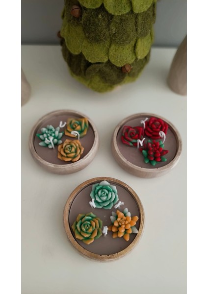 Sukulent Mum Seti 3'lü Kokulu modelleri