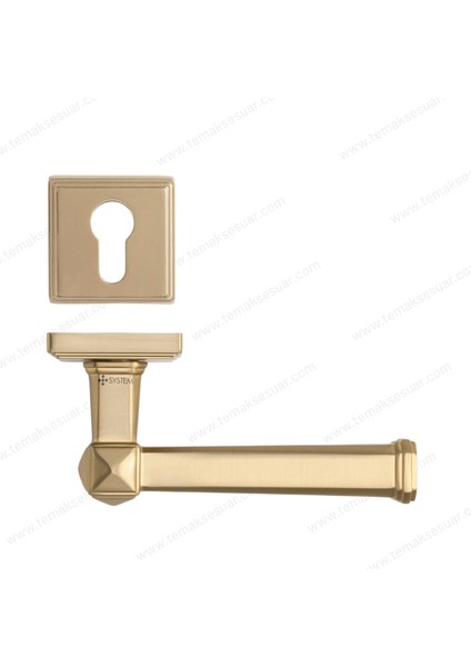 Kayla Rozetli Kapı Kolu Altın Saten Renk Yale ( Dış Kapı Rozetli) fiyatları