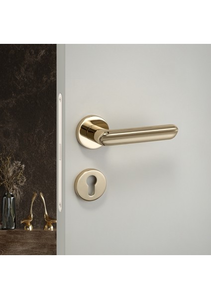 Jaden Rozetli Kapı Kolu Gold Renk Yale ( Dış Kapı Rozetli)