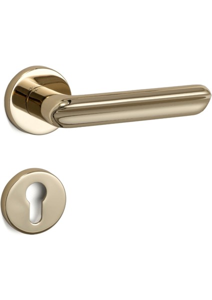 Jaden Rozetli Kapı Kolu Gold Renk Yale ( Dış Kapı Rozetli) fiyatları