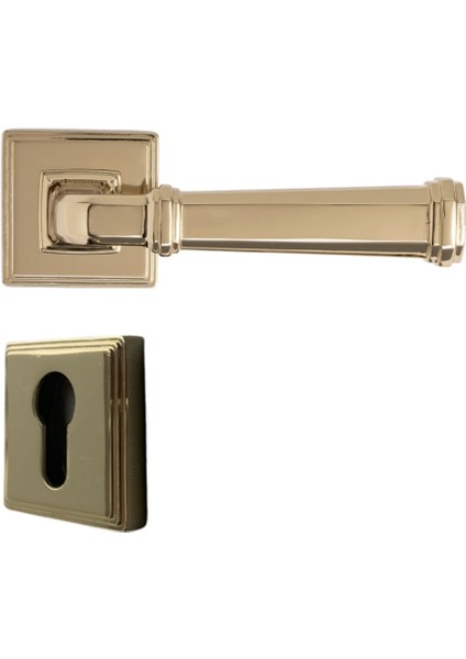 Rodın Rozetli Kapı Kolu Gold Renk Yale ( Dış Kapı Rozetli) fiyatları