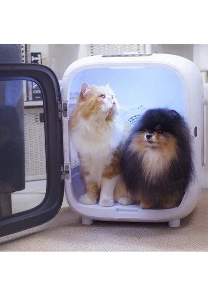 Aclıum Kedi- Köpek Kurutucu 35W fırsatları