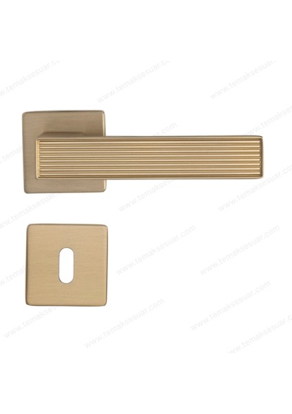 Dıa Rozetli Kapı Kolu Altın Saten Renk Oda Rozetli fiyatları