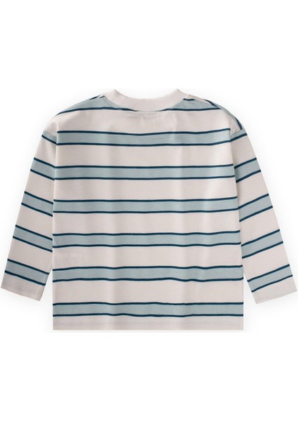 Çizgili Mevsimlik T-Shırt 1-10 Yaş Mint Lacivert Çizgili fiyatları
