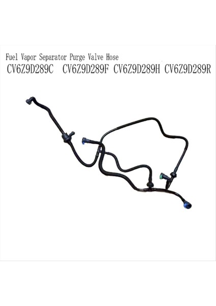 CV6Z9D289C Yakıt Buharı Ayırıcı Temizleme Valf Hortumu Ford Escape 2 0 2013-2016 CV6Z9D289F CV6Z9D289H CV6Z9D289R (Yurt Dışından) indirimleri