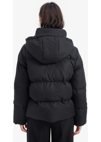 Standart Fit Kapüşonlu Fermuarlı Cepli Şişme Mont E9592AX25SP