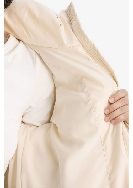 Standart Fit Kapüşonlu Fermuarlı Cepli Şişme Mont E9592AX25SP indirimleri