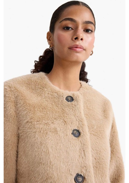 Regular Fit Düğmeli Kısa Suni Kürk F2923AX25WN modelleri