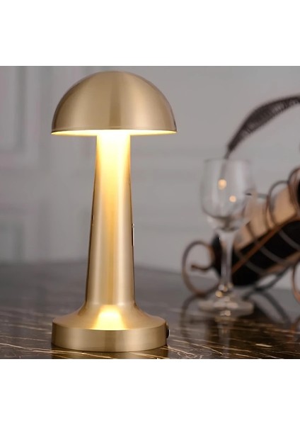 Şarjlı Metal Masa Lambası – 3 Kademe Dokunmatik Işık, USB Girişli, Günışığı Tonu, Taşınabilir Tasarım modelleri