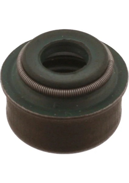 FBI03360 - Subap Keçesi - Febı