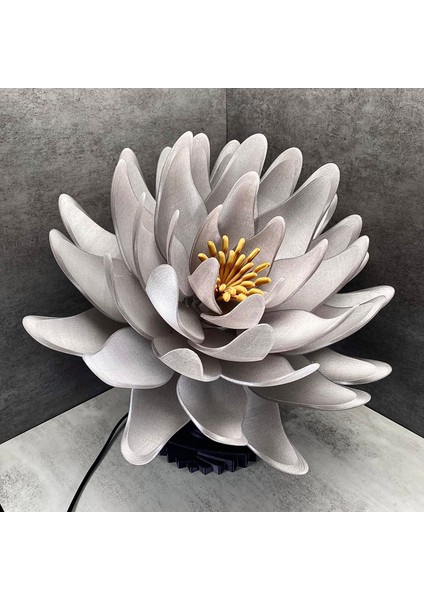 Büyük Lotus Lambası fiyatları